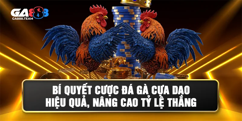 Kinh nghiệm cược đá gà cựa dao luôn thắng