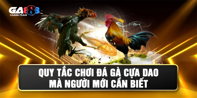 Những quy tắc chơi đá gà cựa dao cần nắm rõ