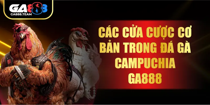 Các cửa cược cơ bản trong đá gà Campuchia GA888