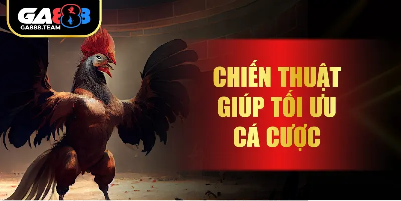 Chiến Thuật Giúp Tối Ưu Cá Cược