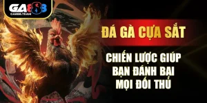 Đá Gà Cựa Sắt – Chiến Lược Giúp Bạn Đánh Bại Mọi Đối Thủ