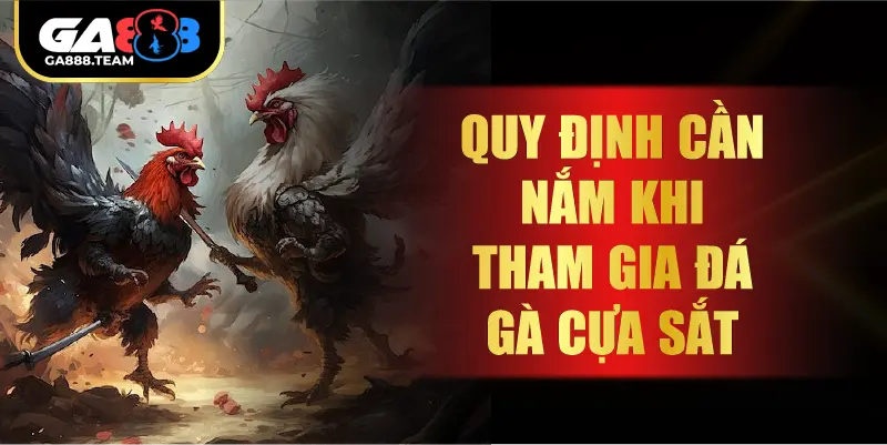 Quy Định Cần Nắm Khi Tham Gia Đá Gà Cựa Sắt