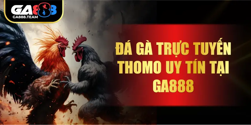 Đá gà trực tuyến Thomo uy tín tại GA888