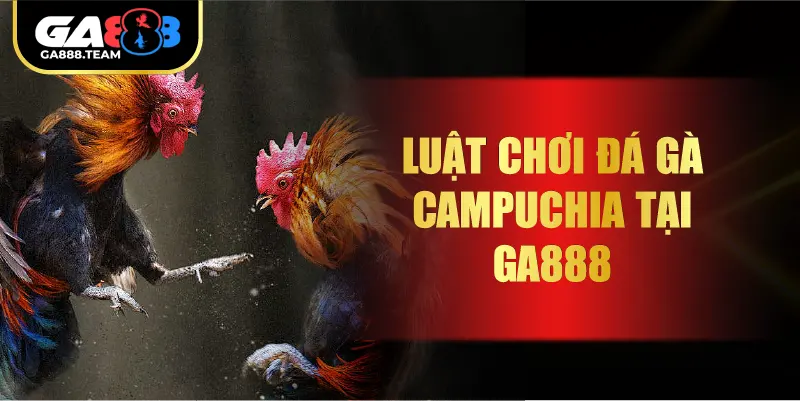 Luật chơi đá gà Campuchia tại GA888