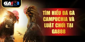 Tìm Hiểu Đá Gà Campuchia Và Luật Chơi Tại GA888
