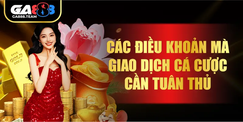 Các điều khoản mà giao dịch cá cược cần tuân thủ